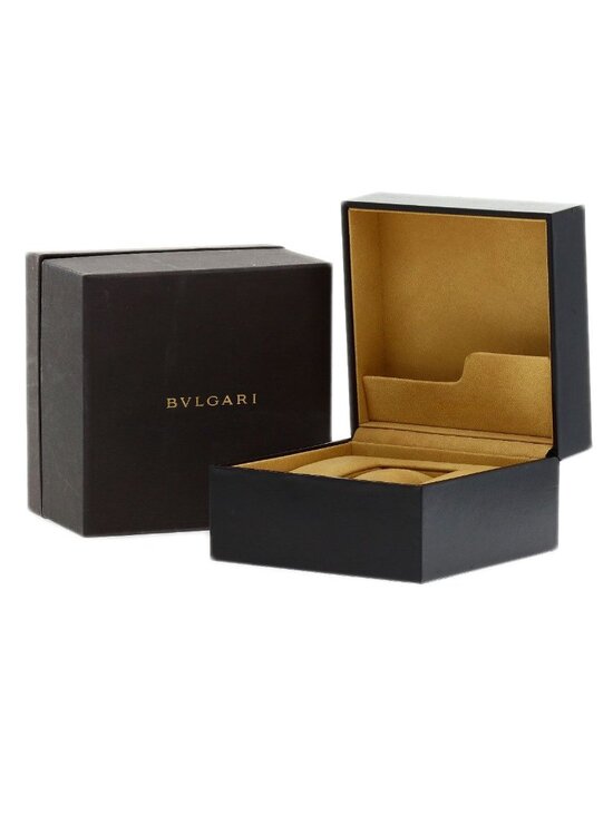 Bvlgari Ergon Watch SS Leather